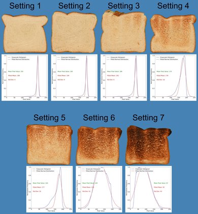 Oster 2-Slice Toaster with Quick-Check Lever Toasting Range Photo