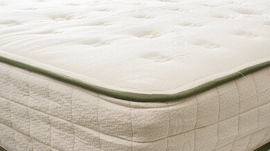 Avocado Green Cover Picture