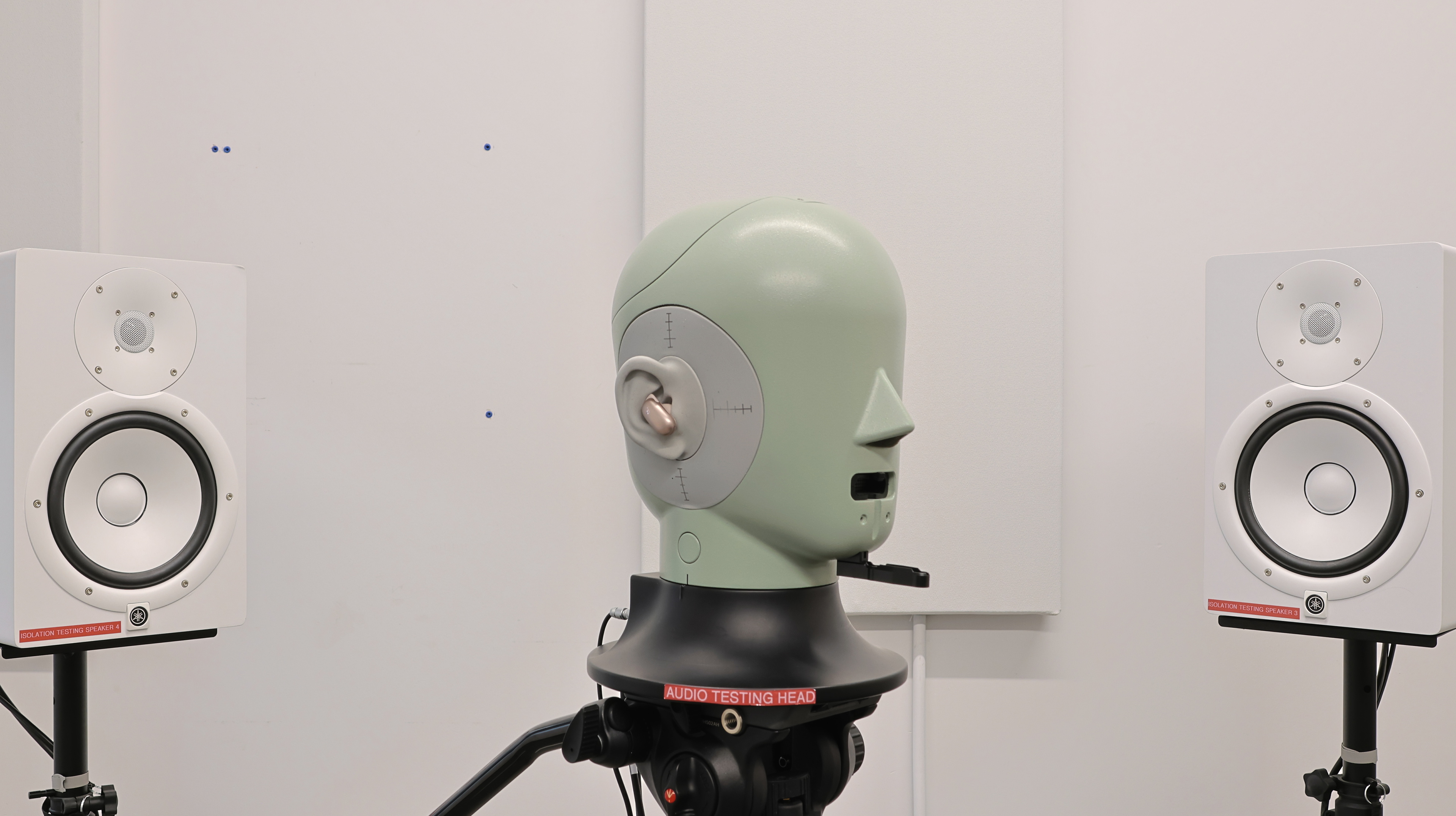 perceptual testing image