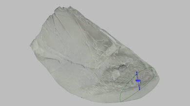 New Balance FuelCell SuperComp Trainer v3 Forefoot Height Photo