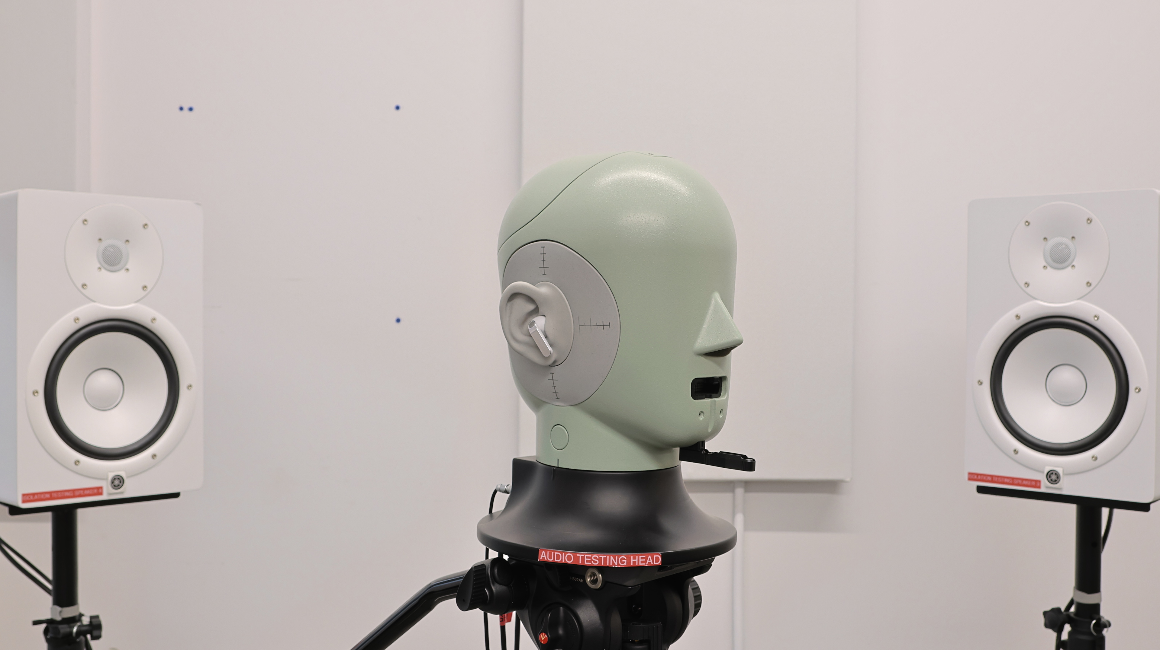 perceptual testing image