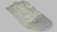 Mizuno Wave Rider 30 Forefoot Width Photo