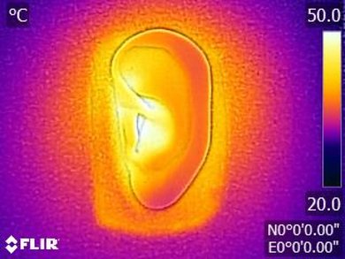 Audio-Technica ATH-M40x Breathability After Picture