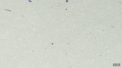 ANTA Zone 2 90 Primary Foam Picture