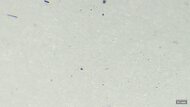 ANTA Zone 2 90 Primary Foam Picture