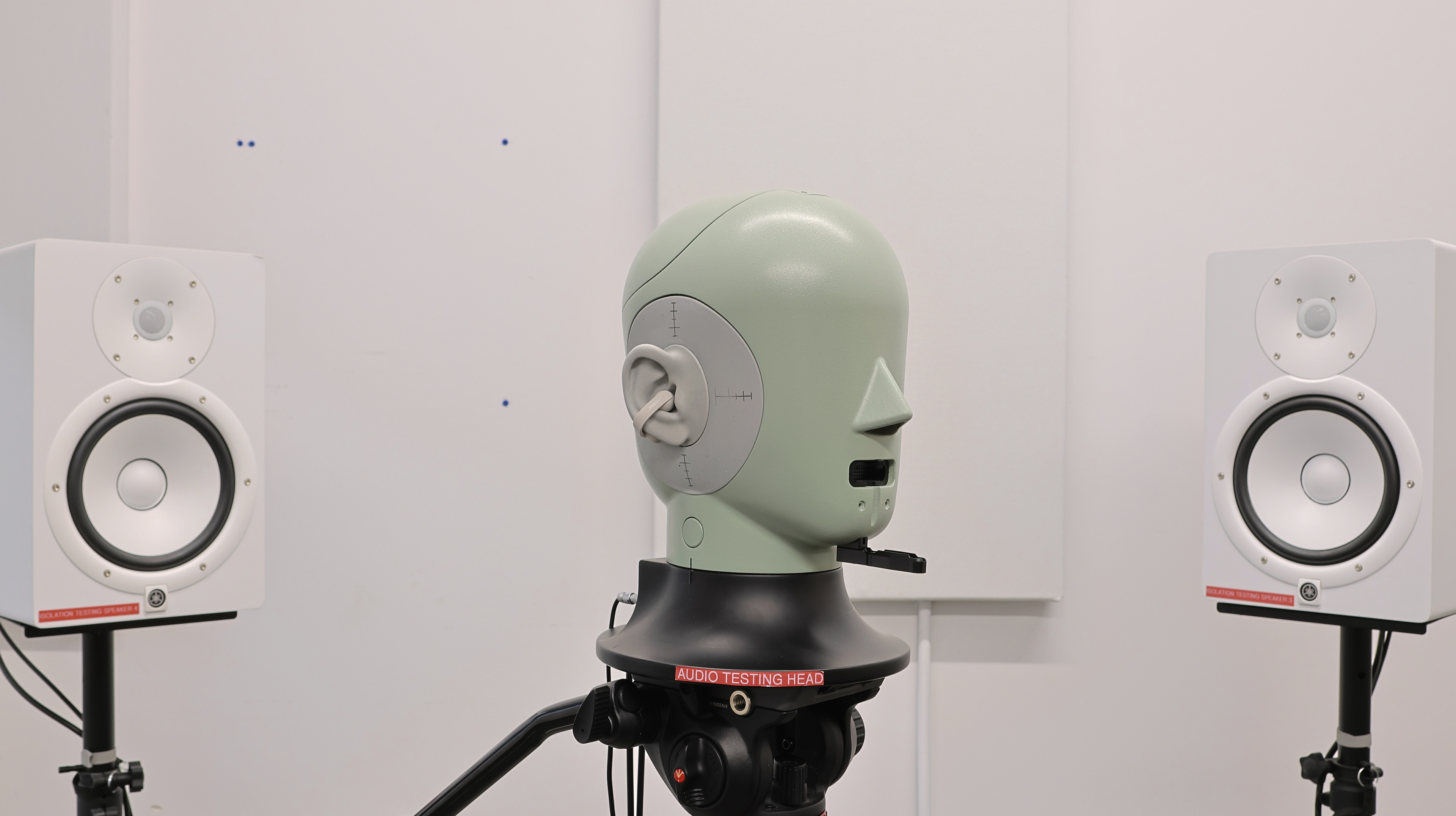 perceptual testing image