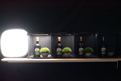 Nikon D5600 Dynamic Range Scene