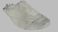 Dynafish Xiaonian Forefoot Width Photo