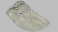 Altra Vanish Carbon 3 Arch Fit Photo