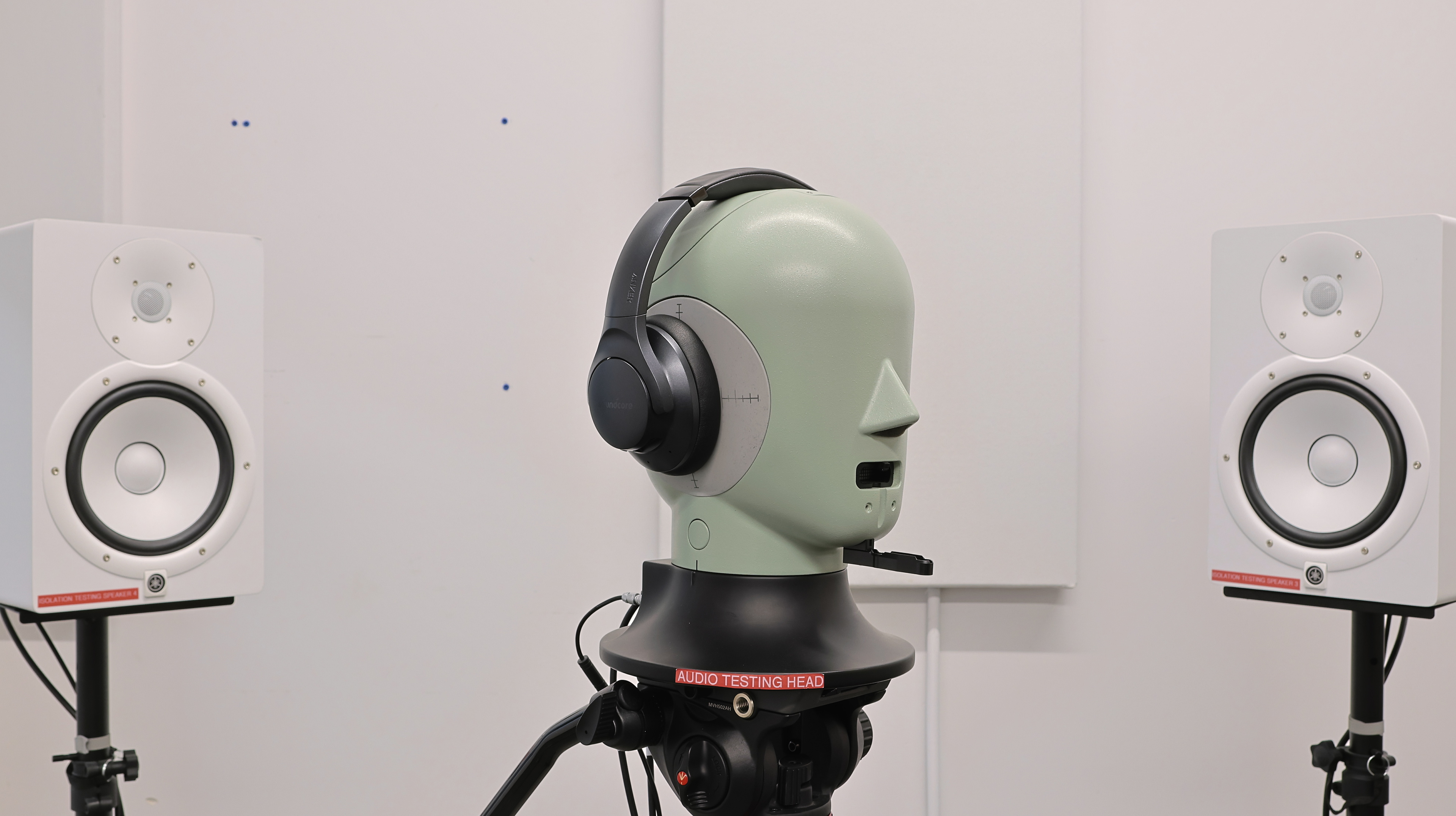 perceptual testing image