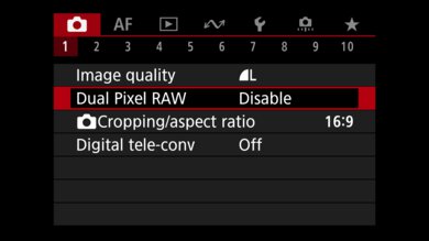 Canon EOS R6 Mark II Screen Menu Picture