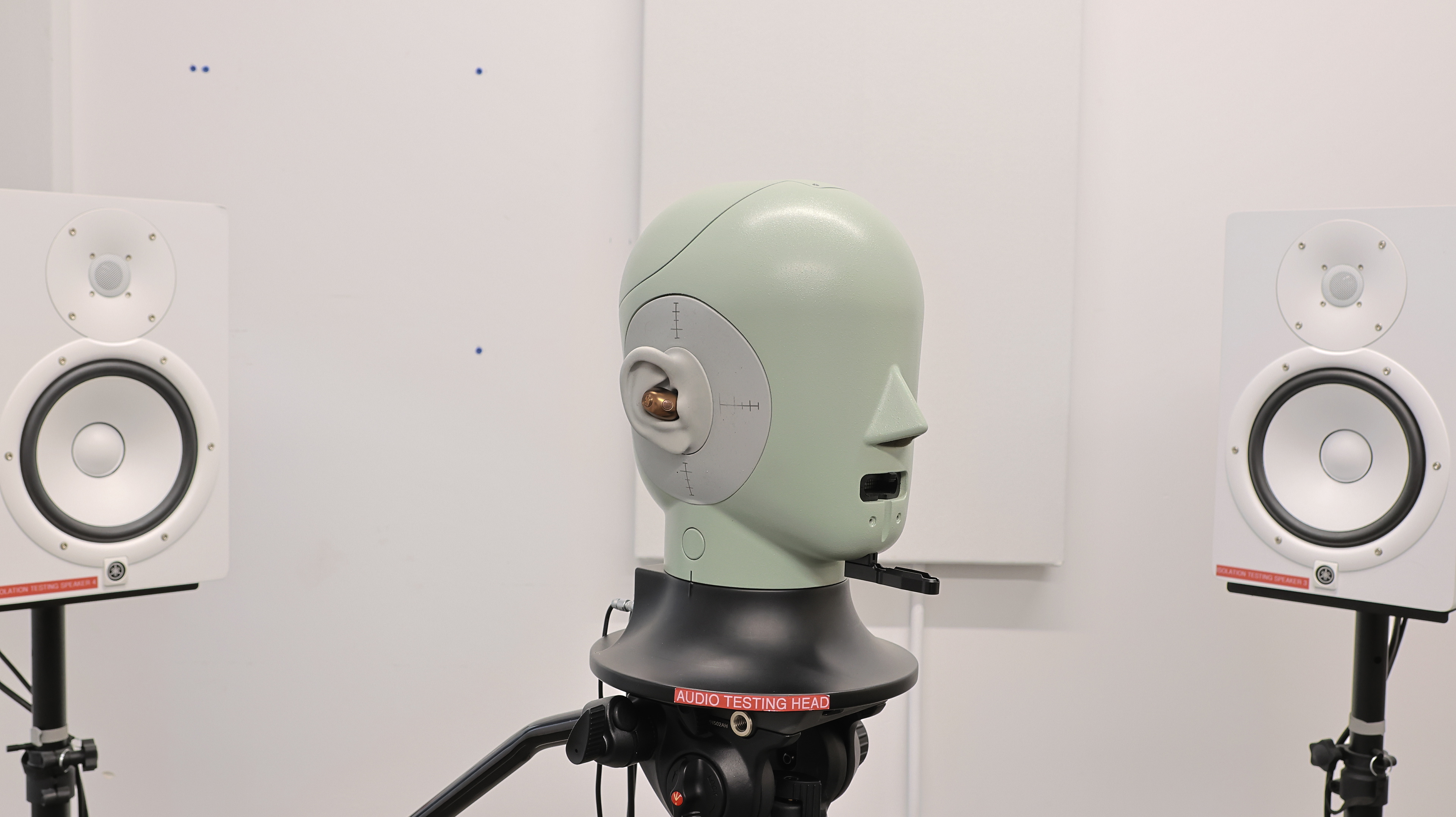 perceptual testing image