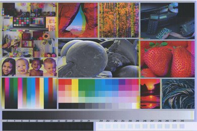 Lexmark CX331adwe Side By Side Print/Photo