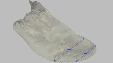 ASICS GT-2000 15 Forefoot Width Photo