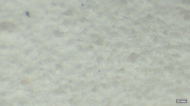 Altra Escalante 5 Primary Foam Picture