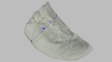 Saucony Endorphin Elite 2 Arch Fit Photo