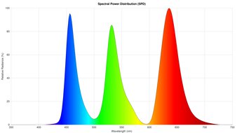 Spectral Power Distribution