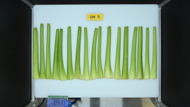 Whirlpool WRS588FIHZ Produce Picture (After)