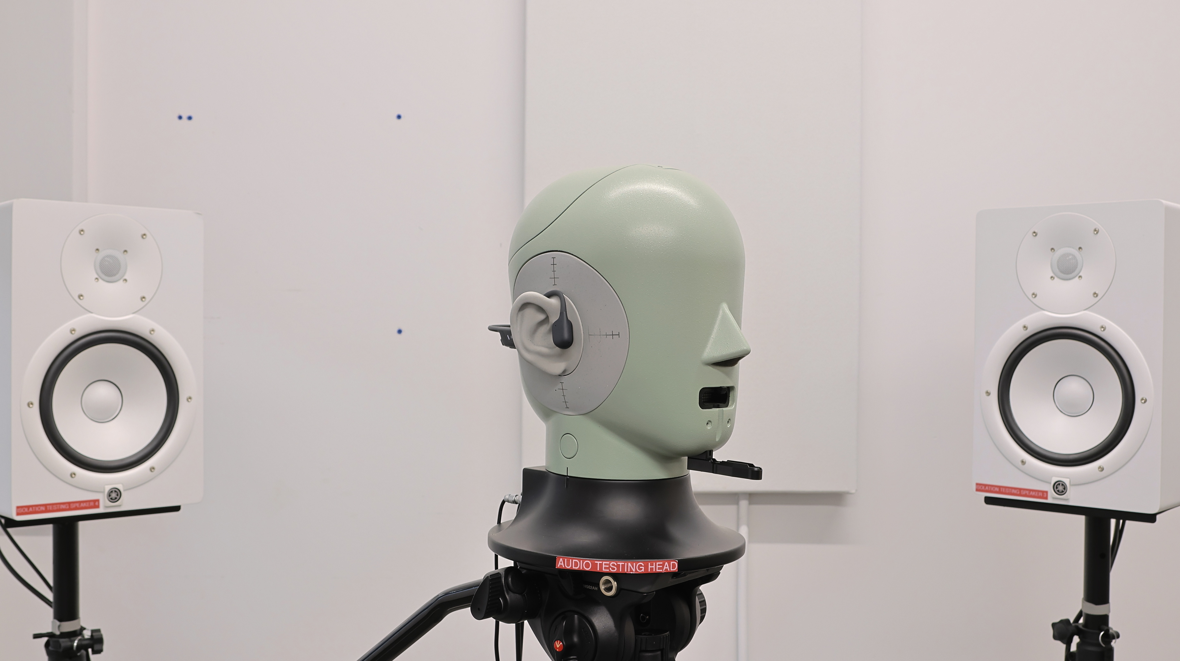 perceptual testing image