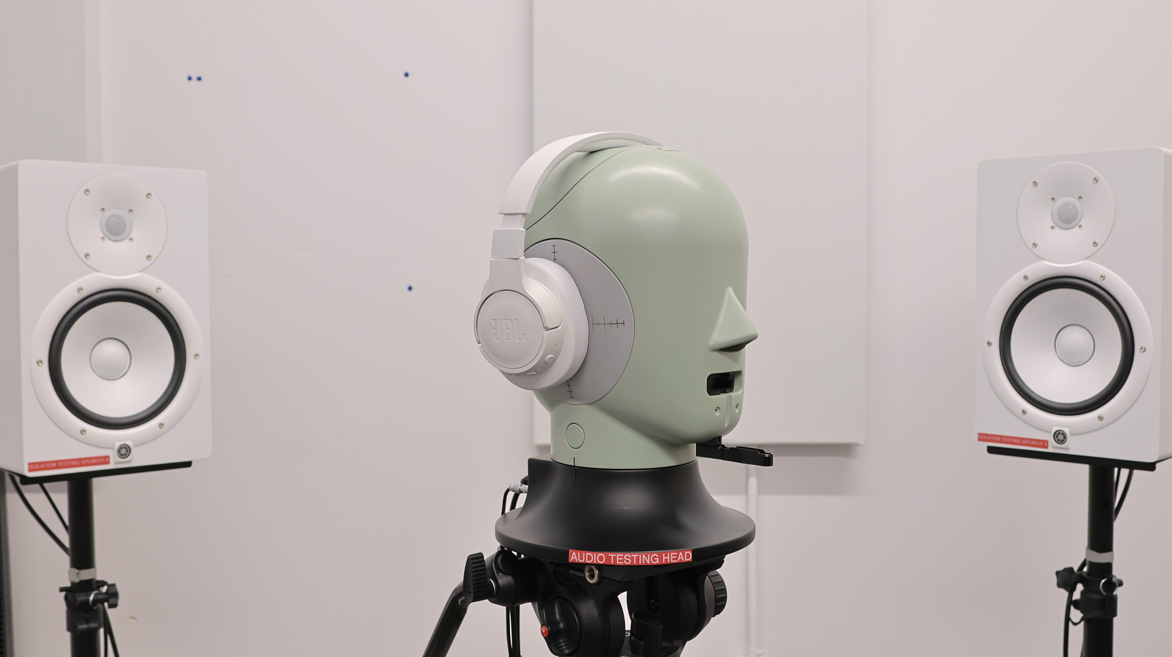 perceptual testing image