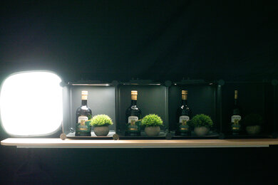 Nikon D3500 Dynamic Range Scene