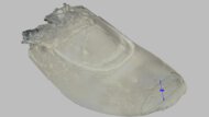 ANTA PG7 3 Forefoot Height Photo