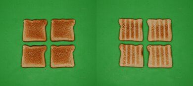 Breville the Smart Oven BOV800XL Unprocessed Toast Picture
