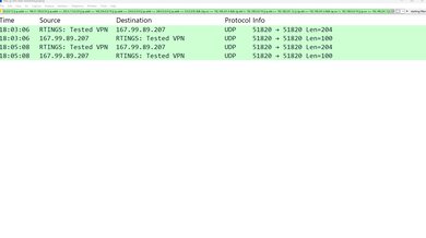 TunnelBear Free Wireshark IP And DNS Leak Screenshot