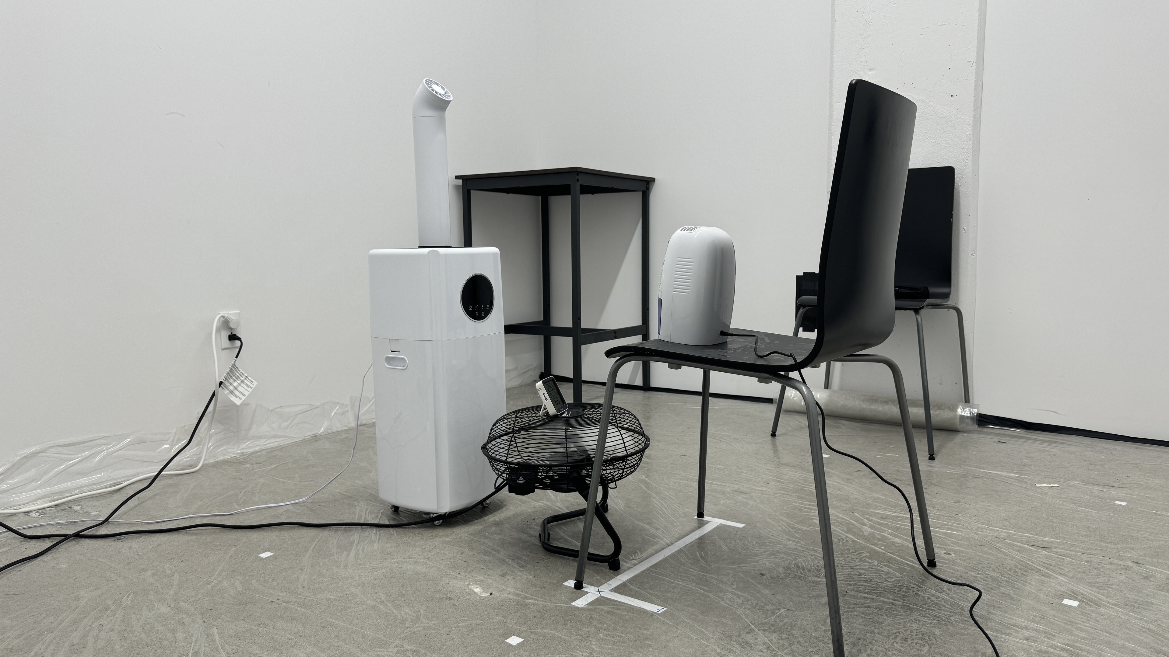 perceptual testing image