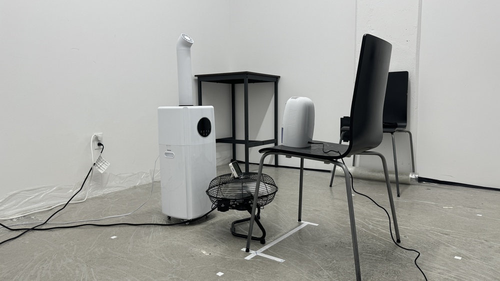 perceptual testing image