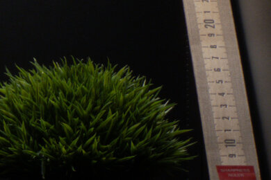 Panasonic LUMIX ZS99 Sharpness Scene Crop