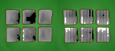 Ninja French Door Premier FO101 Processed Toast Picture