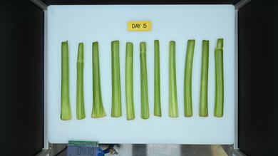 Hisense HRM260N6TSE Produce Picture (After)