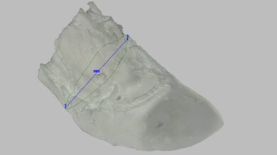 Nike Vomero 18 Arch Fit Photo