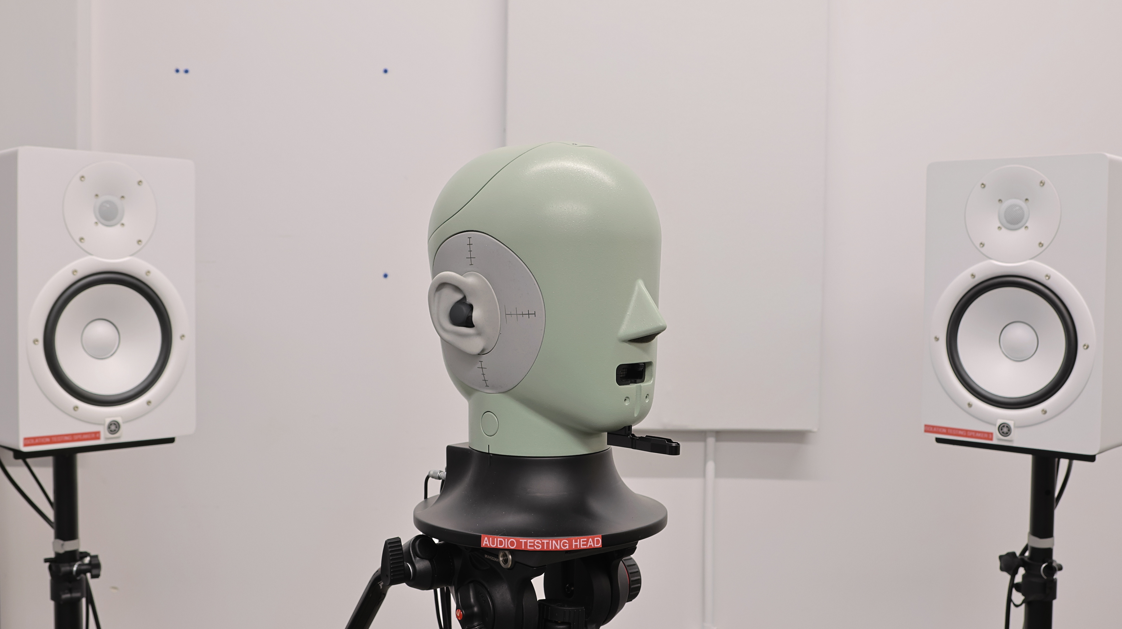 perceptual testing image