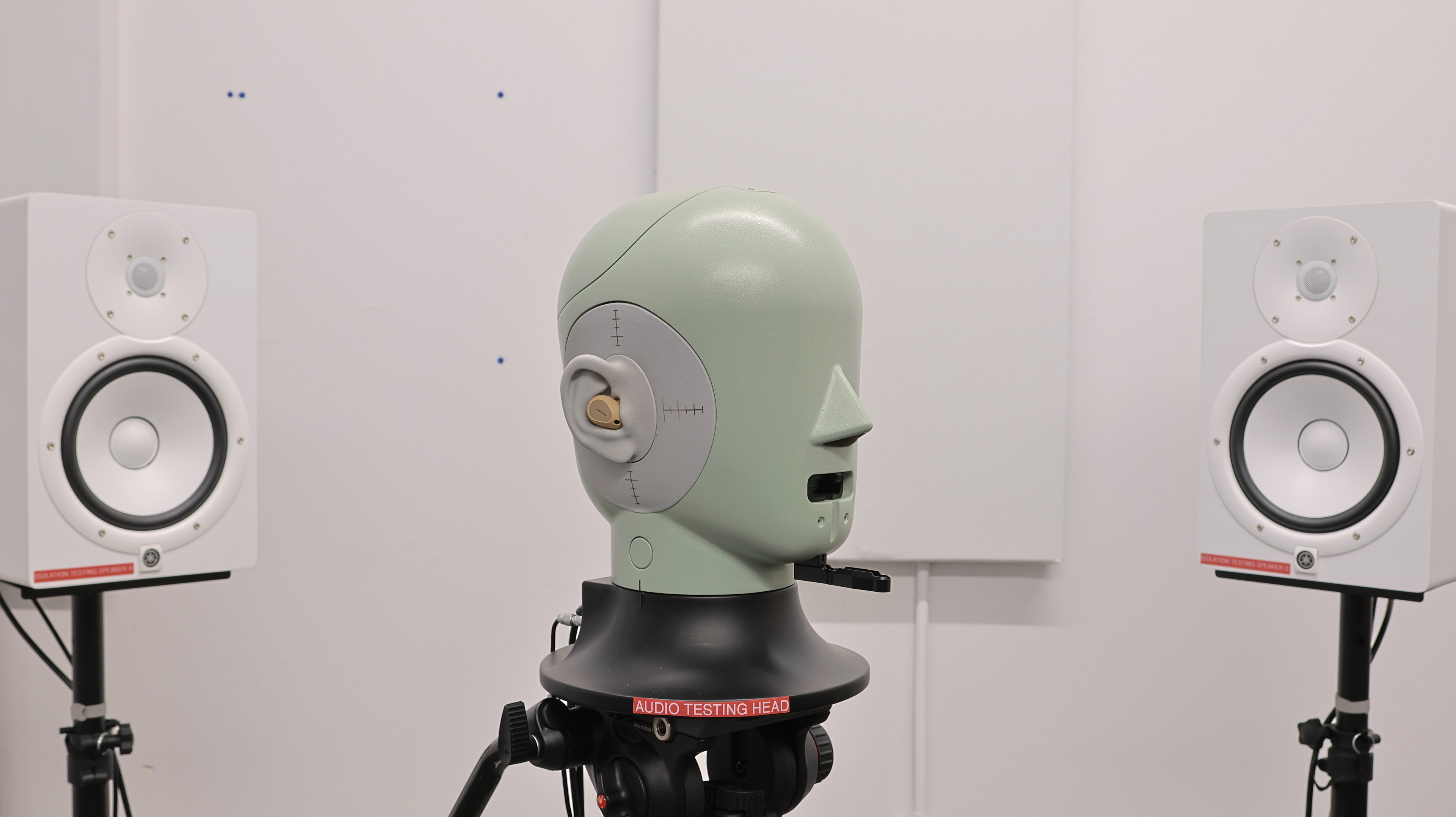 perceptual testing image