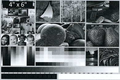 HP LaserJet M209dwe Side By Side Print/Photo