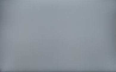 Dell U2415 50% Uniformity Picture