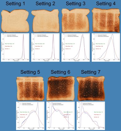 bella basics 2-Slice Toasting Range Photo