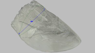 Kiprun Kipstorm Elite Arch Fit Photo
