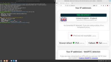 FastestVPN Headless WireGuard Connection Screenshot