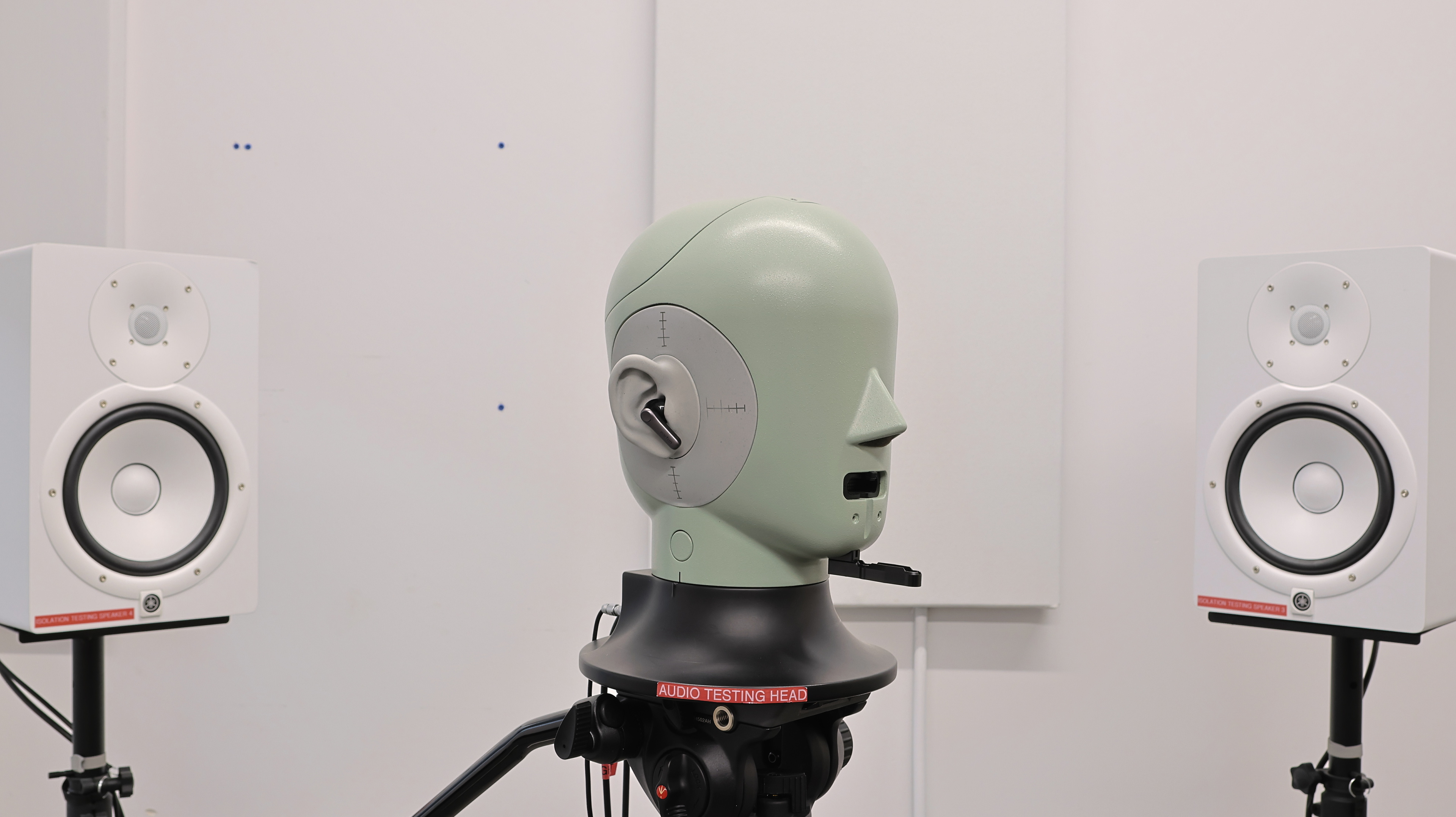 perceptual testing image