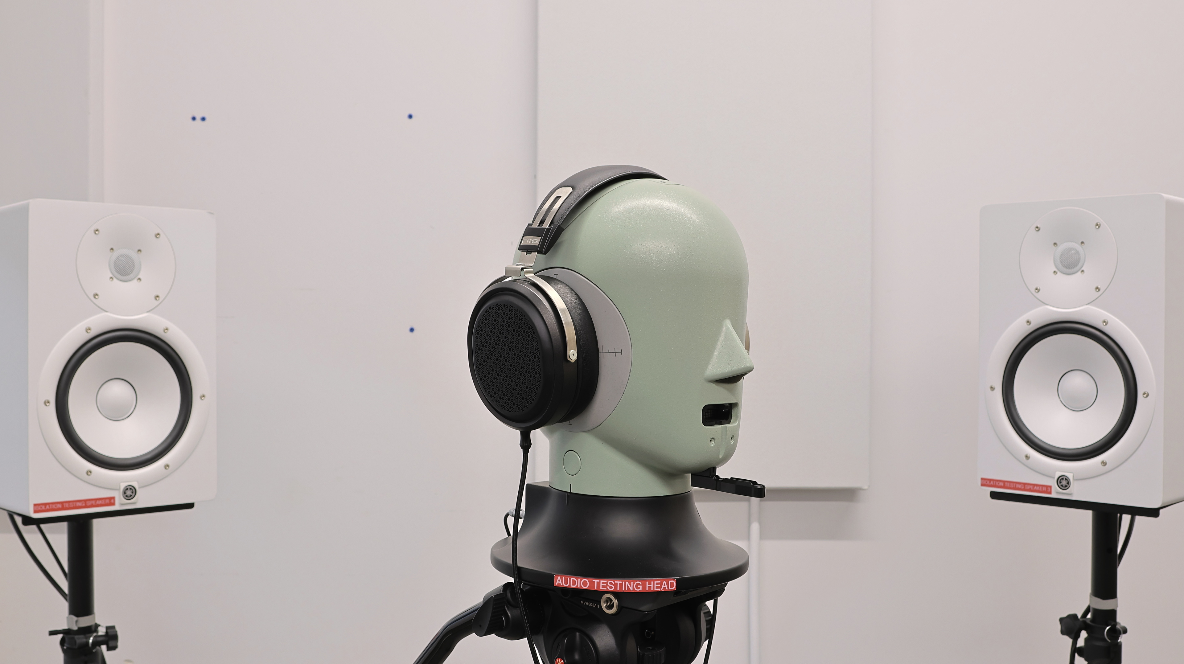 perceptual testing image