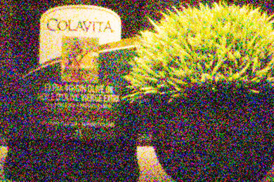 Nikon COOLPIX P1000 Noise Scene Crop