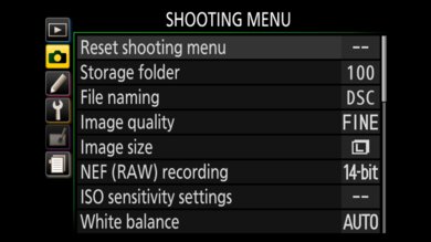 Nikon D5600 Screen Menu Picture