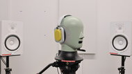 In-Test Picture
