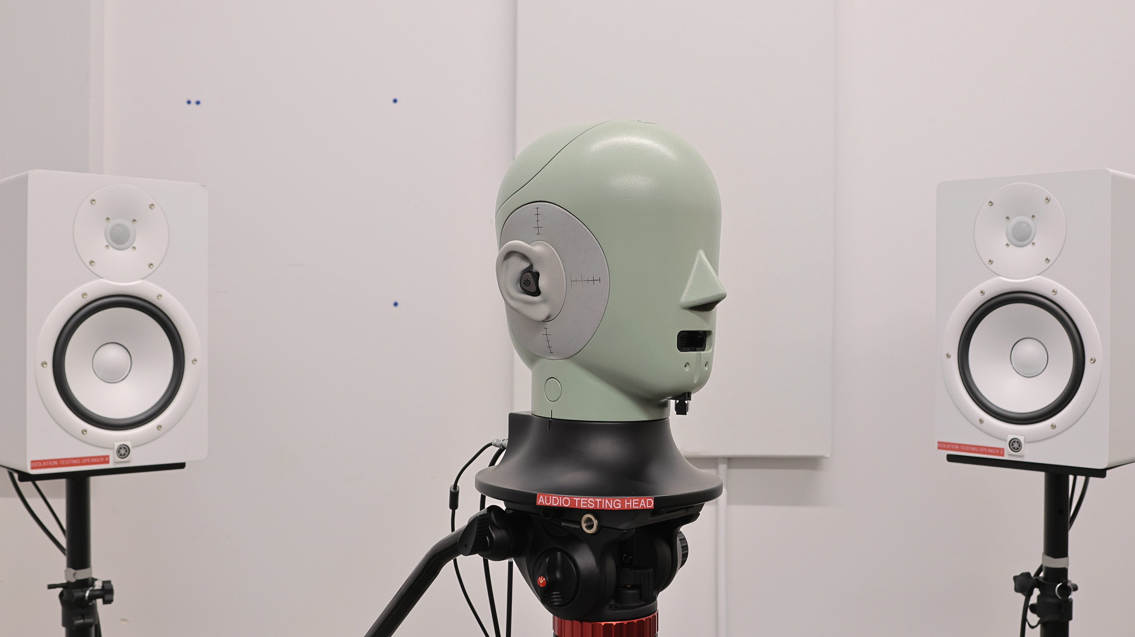 perceptual testing image