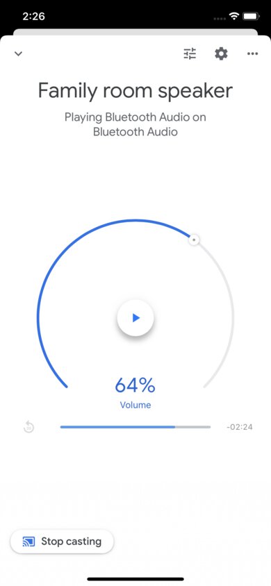 Google Home Max App Picture
