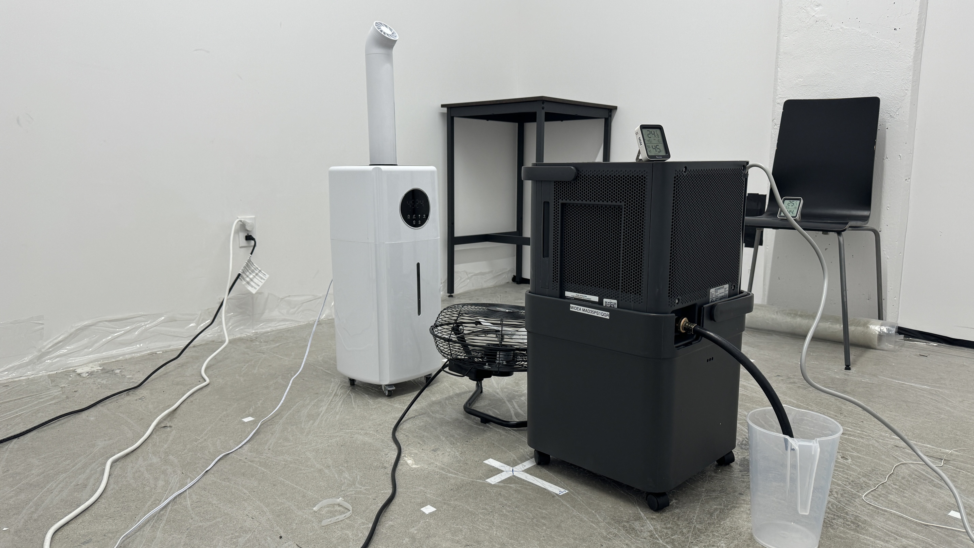 perceptual testing image