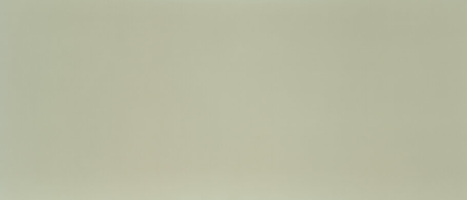 LG 45GX950A-B 50% Uniformity Picture